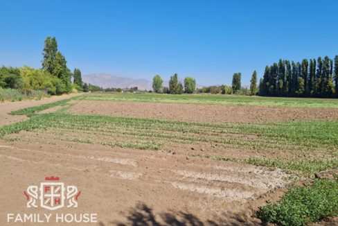 FH-10152-propiedad_4