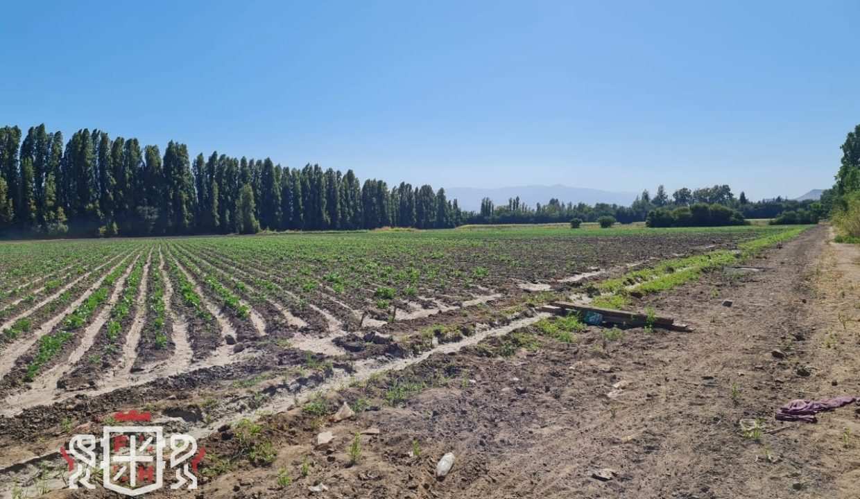 FH-10152-propiedad_6