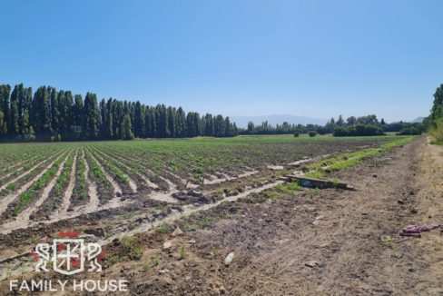 FH-10152-propiedad_6