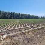 Terreno en Colina