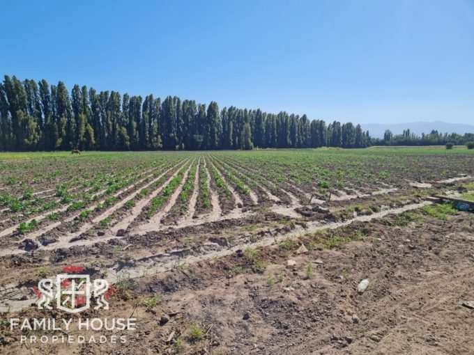 Terreno en Colina