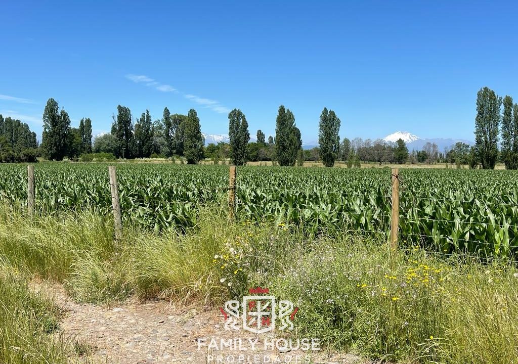 FH-11709-propiedad_11