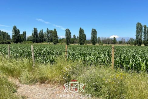 FH-11709-propiedad_11