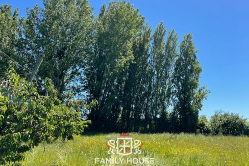 FH-11709-propiedad_19