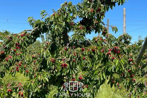 FH-11709-propiedad_3