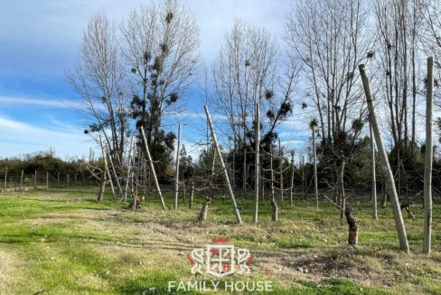FH-11709-propiedad_36