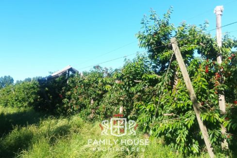 FH-11709-propiedad_43