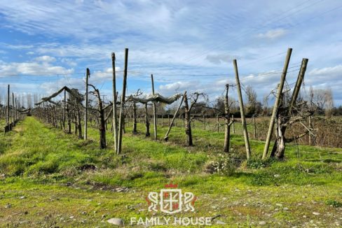FH-11709-propiedad_45