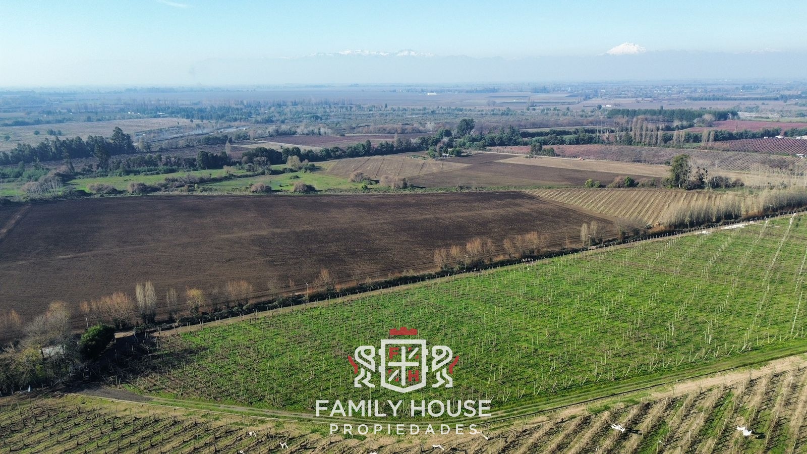 Parcelas Agrícolas de 5.000 m² con Cerezas de Exportación en Retiro, Cerca de Parral